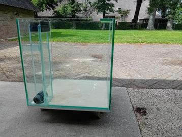 Kweekbak, Leeg aquarium 50x55 en 56 hoog  dik glas 10 mm. beschikbaar voor biedingen