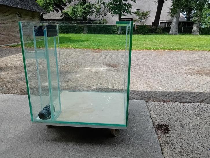 Kweekbak, Leeg aquarium 50x55 en 56 hoog  dik glas 10 mm., Dieren en Toebehoren, Vissen | Aquaria en Toebehoren, Zo goed als nieuw