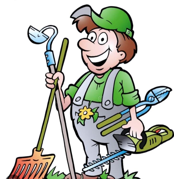 Zoekt u een handige tuinman, Vacatures, Profielen | Man/Vrouw zoekt werk, Overige vormen, Overige uren, Geen rijbewijs, Overige branches