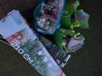 Christmas tree and decorations bundle, Diversen, Kerst, Ophalen
