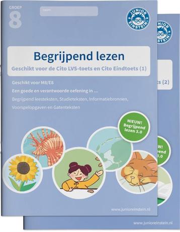 Groep 8 oefenboeken rekenen, begrijpend lezen en spelling beschikbaar voor biedingen