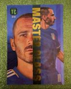 Panini Top Class 2023 MASTER CLASS BONUCCI Italy, Hobby en Vrije tijd, Stickers en Plaatjes, Verzenden, Zo goed als nieuw, Plaatje