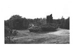 901237	Nieuw Milligen	Gld 1956	vakantieoord	Rabbit Hill	Gelo