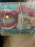 Hamster Kooi met toebehoren, Minder dan 60 cm, Kooi, Minder dan 75 cm, Ophalen of Verzenden
