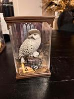 Harry potter magical creatures hedwig, Ophalen of Verzenden, Nieuw, Beeldje of Buste