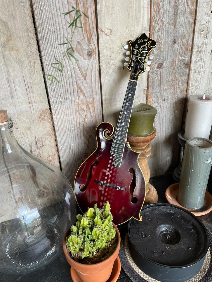 Ibanez model 526 (evt. ruil), Muziek en Instrumenten, Snaarinstrumenten | Mandolines, Gebruikt, Ophalen of Verzenden