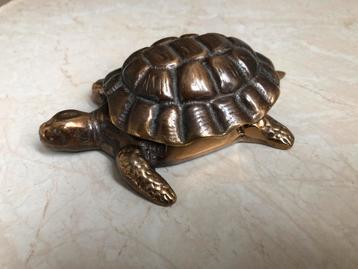 Bronzen schildpad doosje beschikbaar voor biedingen