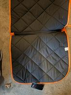 Pony dressage, Dieren en Toebehoren, Ophalen of Verzenden, Nieuw