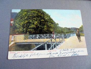 Voorburg. Wijkerbrug, Vliet.  Paard van Trekschuit? 1909.  beschikbaar voor biedingen