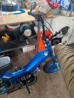 Tomos 65cc helemaal nieuw kan geruilt worden met zip 70cc, Fietsen en Brommers, Brommers | Tomos, Ophalen, Zo goed als nieuw, Standard