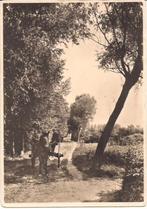 HAAREN NB PAARD EN KIPKAR OP ZANDWEG 1956  nr 1754, Verzenden, 1940 tot 1960, Gelopen, Noord-Brabant