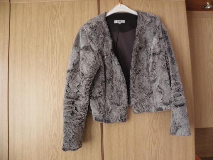 Grijs gevoerd imitatie bont jasje LYNDE COLLEGE STYLE L zgan, Kleding | Dames, Jasjes, Kostuums en Pakken, Zo goed als nieuw, Jasje
