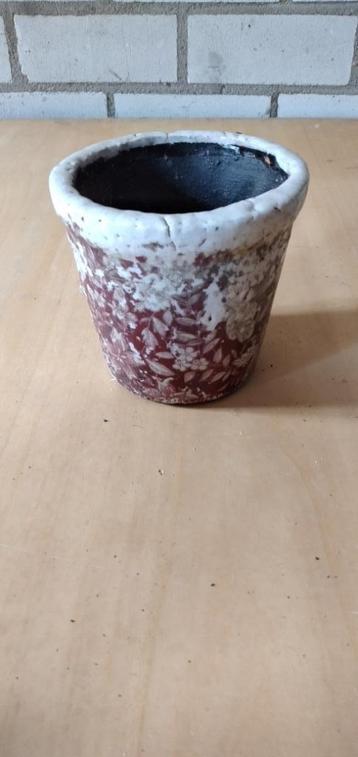 Kamerplanten potten beschikbaar voor biedingen