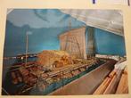 Ansichtkaart Noorwegen - Oslo Kon tiki museum, Ophalen of Verzenden, Zo goed als nieuw