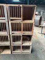Te koop Broedbakken voor duiven, Dieren en Toebehoren, Ophalen, Hout, Vogelkooi