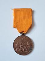 Trouwe dienst medaille onderscheiding brons 37mm, Ophalen of Verzenden, Landmacht, Nederland, Lintje, Medaille of Wings