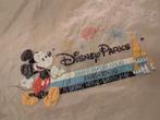 Disney World Orlando poncho (3 stuks, 2 volwassenen, 1 kind), Ophalen, Overige figuren, Zo goed als nieuw, Kleding of Textiel
