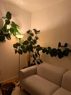 Vloerlamp staande kap beetje afgebroken, Huis en Inrichting, Ophalen, Zo goed als nieuw, Kunststof, Oldschool