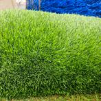 KUNSTGRAS ACTIE 45 MM €15,00 PER M2, Ophalen