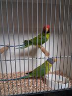 Vele soorten vogels zaterdag geopend van 9 tot 1 uur