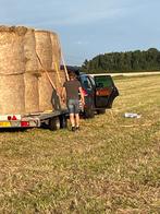 Te koop grote droge balen, Dieren en Toebehoren, Dierenvoeding, Ophalen of Verzenden, Vee