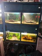 Te koop Aquarium stelling 3 etage, Dieren en Toebehoren, Vissen | Aquaria en Toebehoren, Ophalen, Gebruikt, Leeg aquarium