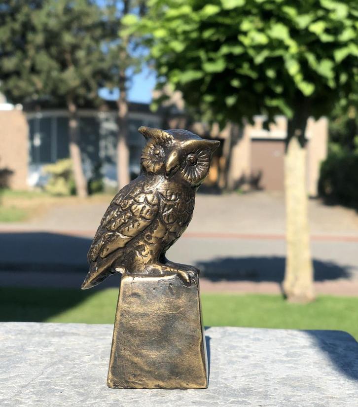 Uilen in het brons bronzenbeelden-winkel vanaf 49.95...., Antiek en Kunst, Kunst | Beelden en Houtsnijwerken, Ophalen of Verzenden