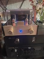 AV-400 Vacuum Tube Amplifier, Audio, Tv en Foto, Buizenversterkers, Ophalen of Verzenden, Versterker