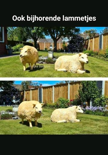 Tuinbeeld schaap polyester dieren, schapen, decorbeelden beschikbaar voor biedingen