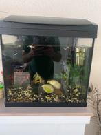 Aquarium met verwarming en pomp, Dieren en Toebehoren, Vissen | Aquaria en Toebehoren, Ophalen of Verzenden, Verlichting of Verwarming
