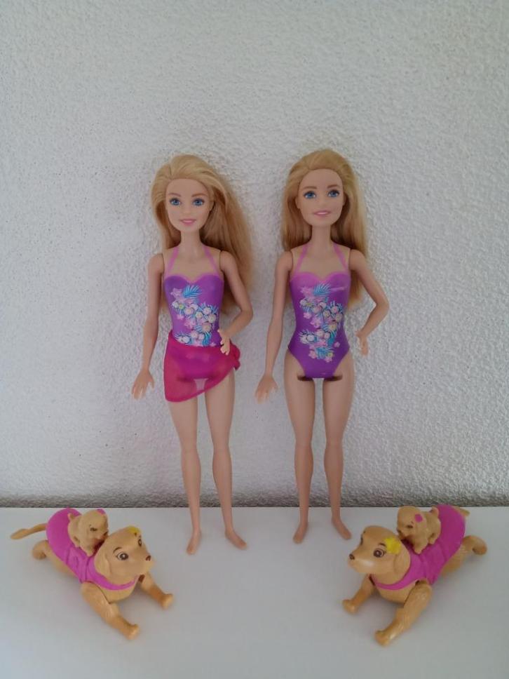 2 Barbie Poppen DMC32 en Honden van Swimmin' Pup Pool, Kinderen en Baby's, Speelgoed | Poppen, Gebruikt, Barbie, Ophalen of Verzenden
