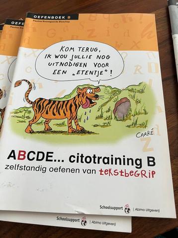 Citotraining B tekst begrip (5 st)+antw beschikbaar voor biedingen