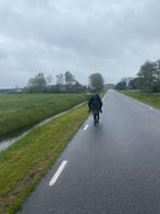 Verzorg paard/pony gezocht, Ophalen of Verzenden, Zo goed als nieuw
