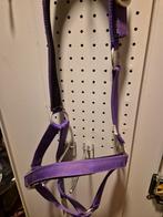 Paars halster cob, Ophalen of Verzenden, Nieuw, Overige soorten