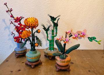 Lego Botanicals (10343-10344-10368-10369) beschikbaar voor biedingen