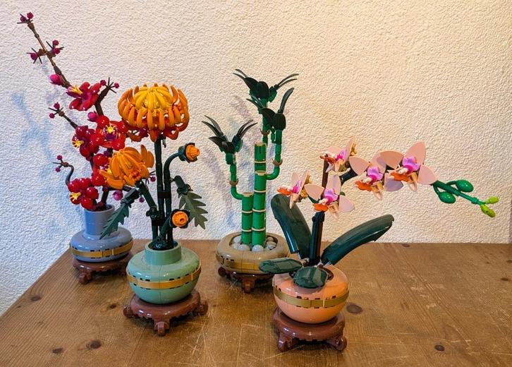 Lego Botanicals (10343-10344-10368-10369), Kinderen en Baby's, Speelgoed | Duplo en Lego, Zo goed als nieuw, Lego, Complete set