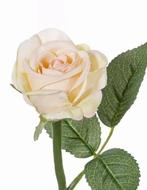 TOPART - ROOSJE ORANJE - ZALM ROZE - ZACHT ROZE, Ophalen of Verzenden, Nieuw