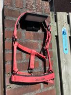 Eskadron platinum halster maat P2, Dieren en Toebehoren, Ophalen of Verzenden, Zo goed als nieuw, Overige soorten