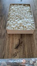 1000.witte knoopjes., Ophalen of Verzenden, Nieuw, Materiaal