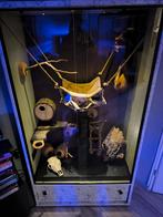 Terrarium Kast, Dieren en Toebehoren, Reptielen en Amfibieën | Toebehoren, Ophalen, Zo goed als nieuw, Overige typen