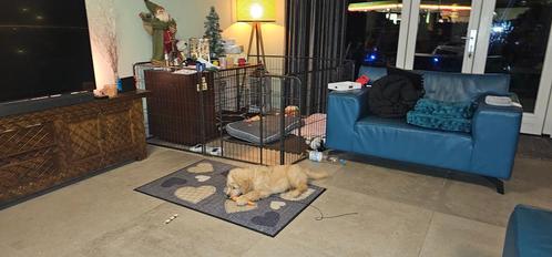hondenbench mueble van Omlet, Dieren en Toebehoren, Hondenbenches, Zo goed als nieuw, Ophalen