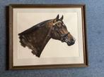 Grote lijst met schilderij van een paard, Ophalen, 50 tot 75 cm, Zo goed als nieuw, 75 tot 100 cm