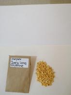 moestuin zaden, Ophalen of Verzenden, Voorjaar, Volle zon, Zaad