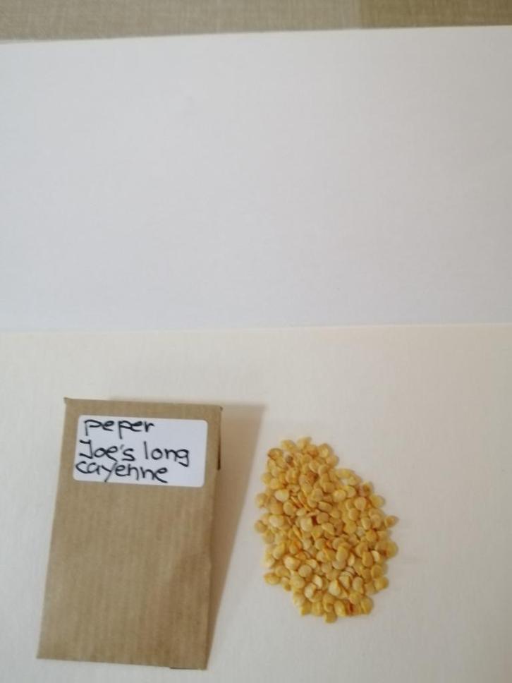 moestuin zaden, Tuin en Terras, Bloembollen en Zaden, Zaad, Voorjaar, Volle zon, Ophalen of Verzenden