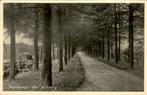 Maartensdijk - Naar de Rading, Verzamelen, Ansichtkaarten | Nederland, Ophalen of Verzenden, 1940 tot 1960, Gelopen, Utrecht