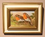 Portret in olieverf van roodborstjes, Ophalen of Verzenden