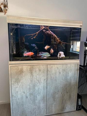 Aquarium aqualantis 1m  beschikbaar voor biedingen