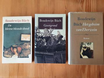 Boeken van en over Boudewijn Buch beschikbaar voor biedingen