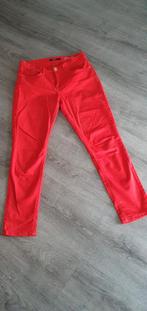 Broek van Promiss, maat 36, Promiss, Ophalen of Verzenden, Zo goed als nieuw, Maat 36 (S)