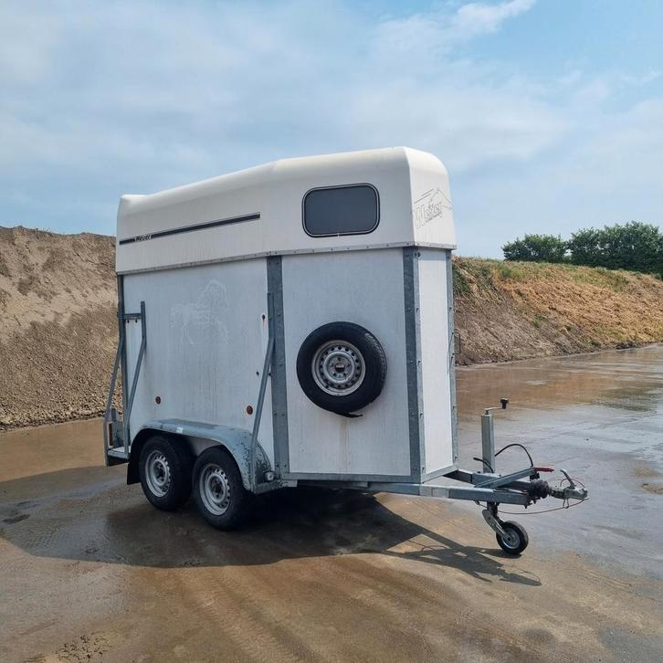 Weijer en Westfalia paardentrailers te koop, Dieren en Toebehoren, Paarden en Pony's | Trailers en Aanhangwagens, Ophalen